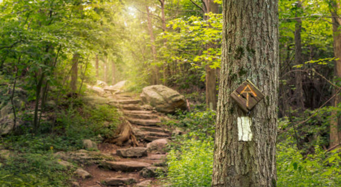 Title: Exploring the Appalachian Trail: A Journey Through History, Nature, and Well-Being