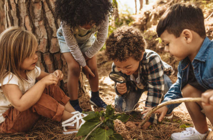 Nurturing Young Hearts: The Importance of Children Learning About Nature and Conservation