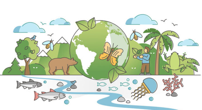 The Vital Importance of Biodiversity