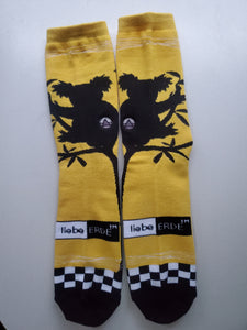 Medium Thick - Koala